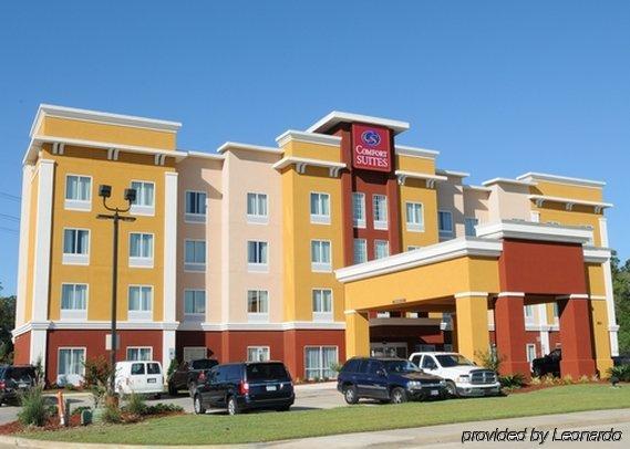 גונזלס Comfort Suites Near Tanger Outlet Mall מראה חיצוני תמונה
