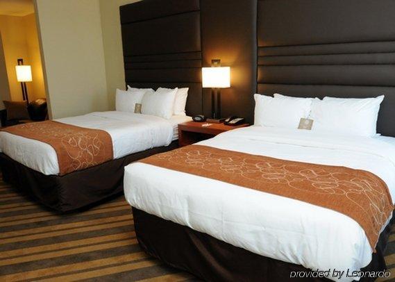 גונזלס Comfort Suites Near Tanger Outlet Mall מראה חיצוני תמונה