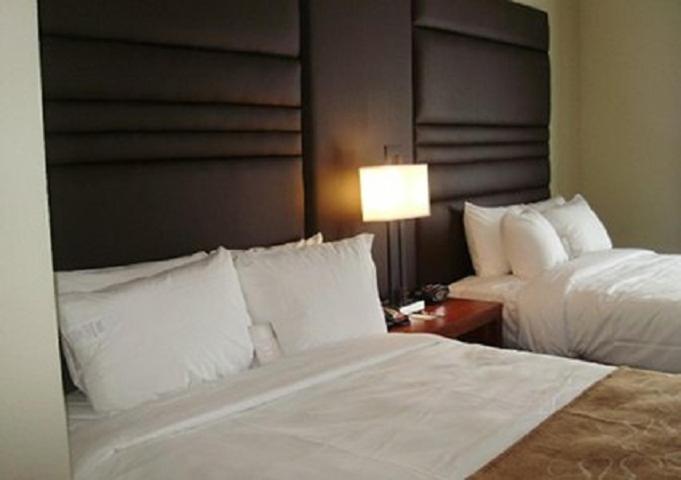 גונזלס Comfort Suites Near Tanger Outlet Mall מראה חיצוני תמונה